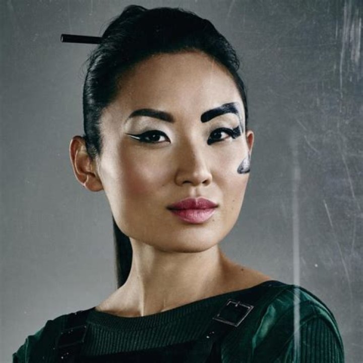 
All About Li Jun Li from ‘Wu Assassins’: Age, Husband, Net Worth 