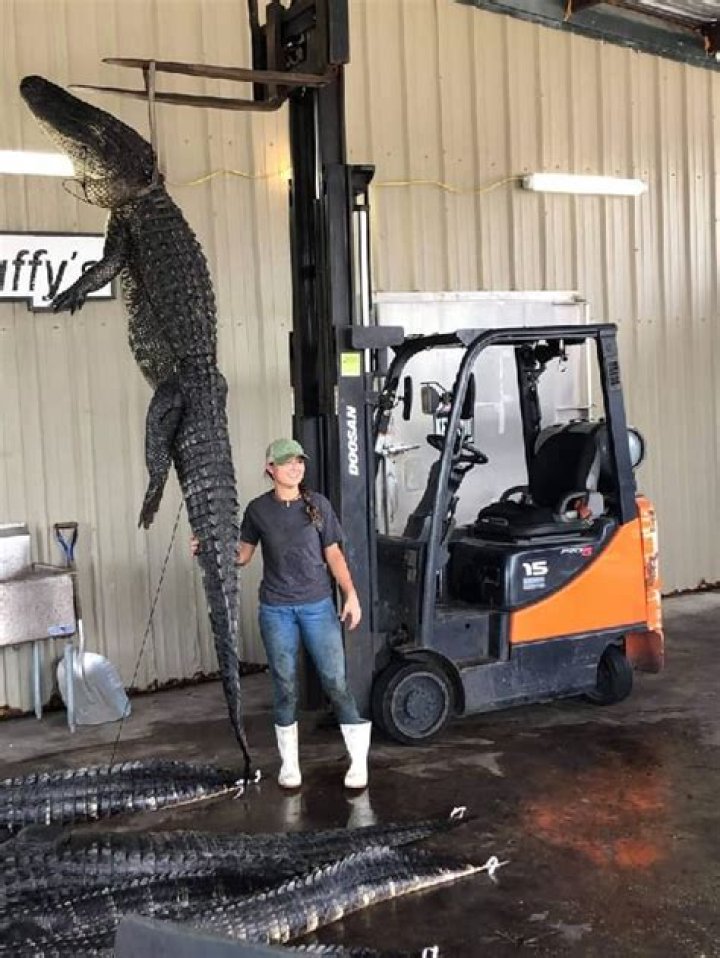 
Apetor Height, Weight, Net Worth, Age, Birthday, Wikipedia, Who, Nationality, Biography 